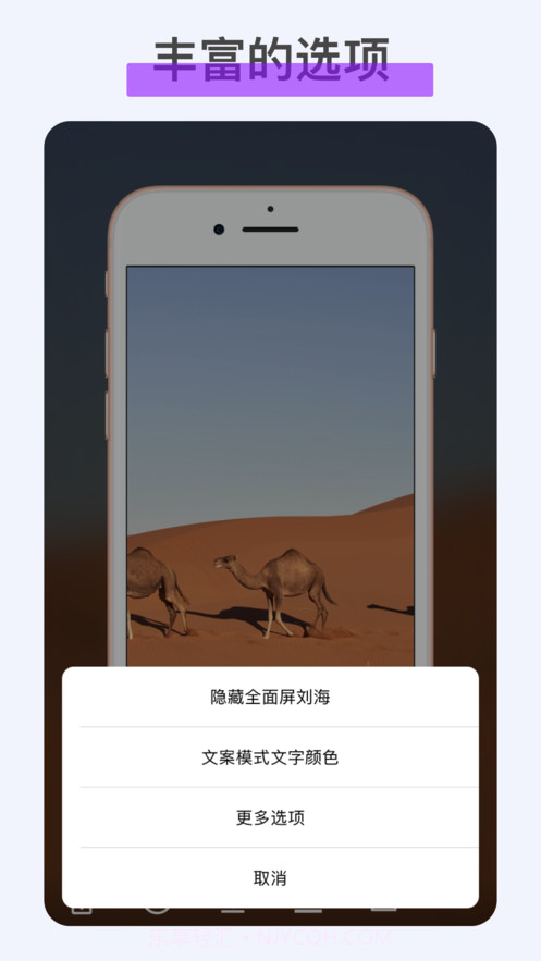 iFrame带壳截屏手机版截图3