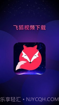 飞狐视频去水印截图5