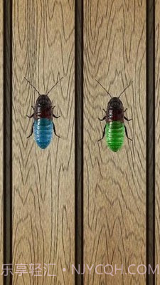 蟑螂终极淘汰赛截图4 蟑螂终极淘汰赛截图4