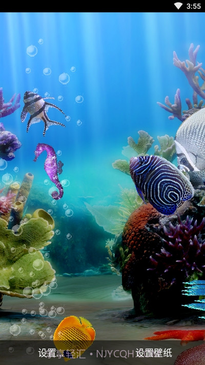 真正的水族馆Therealaquarium动态壁纸截图4