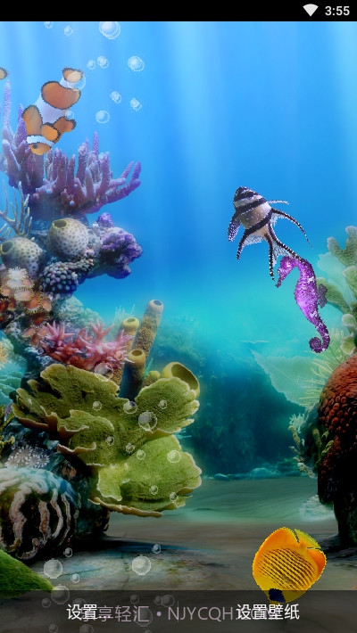 真正的水族馆Therealaquarium动态壁纸截图3