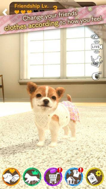 与狗同行截图1 与狗同行截图1