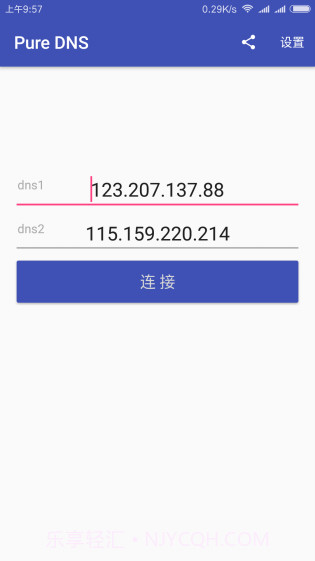Pure DNSV1.0.3截图1