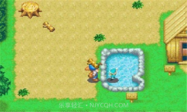 牧场物语精灵驿站中文版截图3