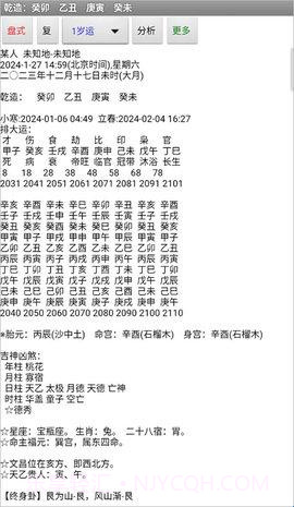 玄奥八字8.0安卓(八字算命免费测八字) 高级直装版截图2 玄奥八字8.0安卓(八字算命免费测八字) 高级直装版截图2