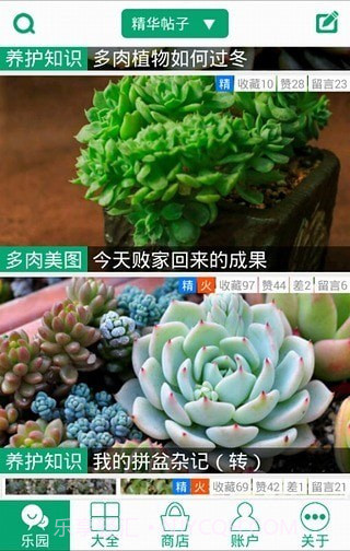 多肉植物软件截图5