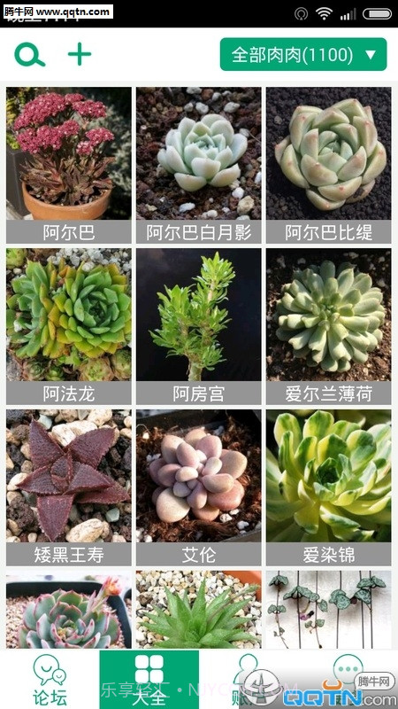 多肉植物app截图3 多肉植物app截图3