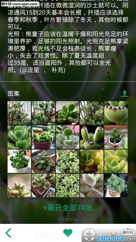 多肉植物app截图2 多肉植物app截图2
