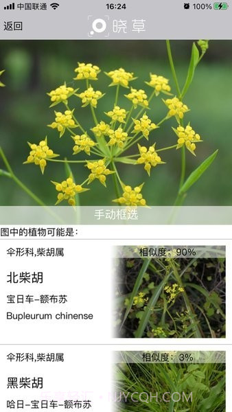 晓草草原植物识别截图2 晓草草原植物识别截图2