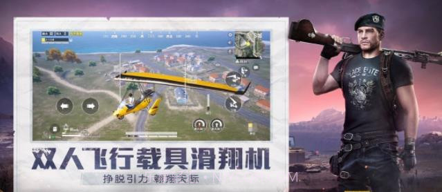 和平精英小蜜蜂助手截图1 和平精英小蜜蜂助手截图1