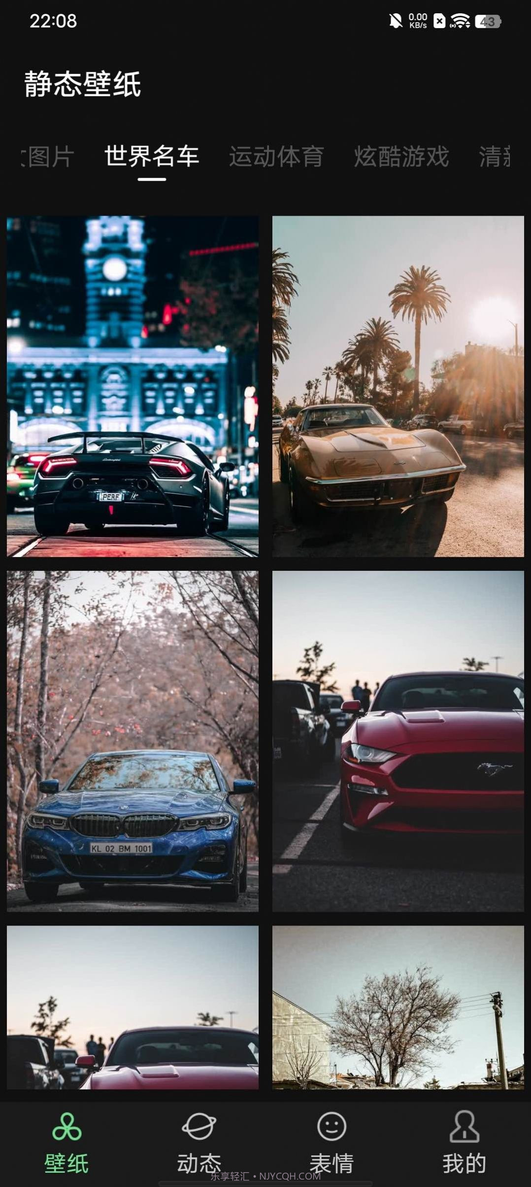 雨林壁纸截图3 雨林壁纸截图3