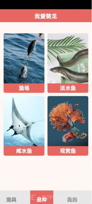 萌龙乐园截图1 萌龙乐园截图1