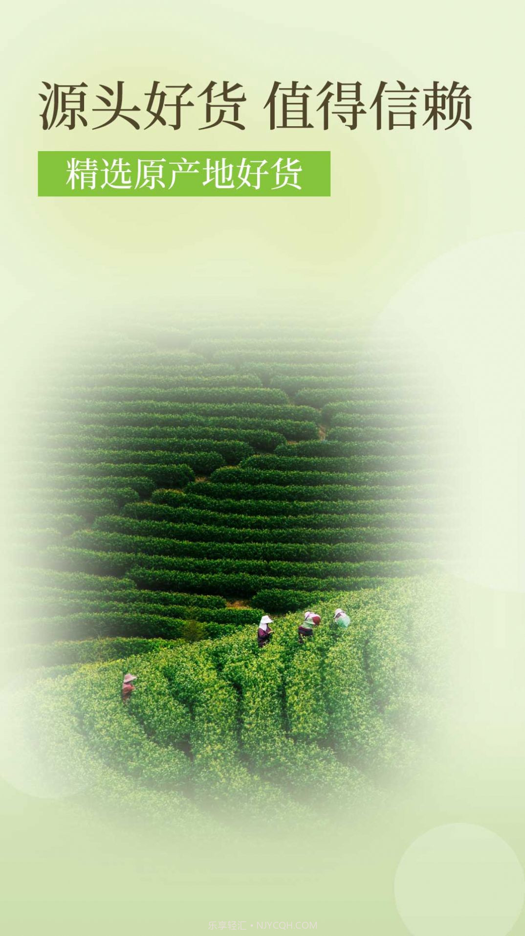 降三高莓茶截图1 降三高莓茶截图1