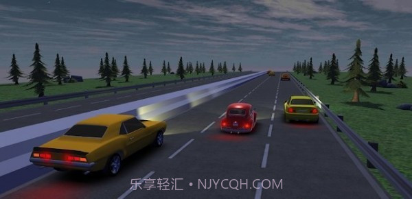 疯狂的赛车司机截图1