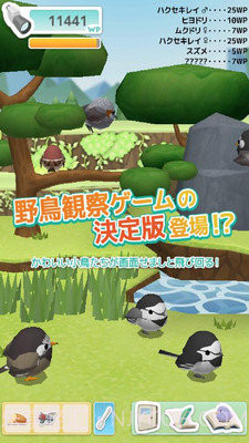 小鸟观察器截图1