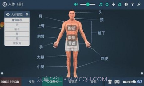 人体解剖3D模型截图2