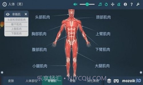 人体解剖3D模型截图4