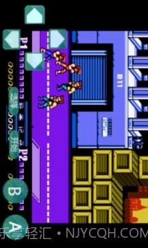 双截龙-怀旧经典截图2