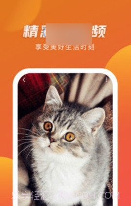 优赏短视频赚钱版截图3