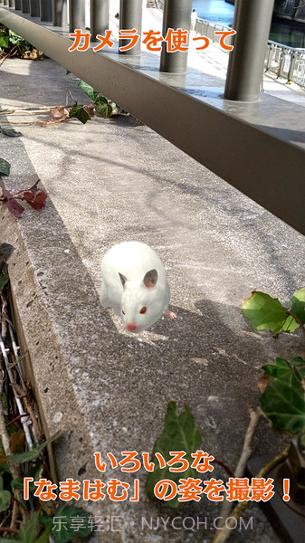 云仓鼠免费版截图4