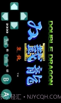 双截龙-怀旧经典截图1