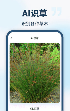 AI智能助手截图4 AI智能助手截图4