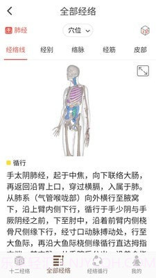 3D BODY(经络穴位3D)截图3 3D BODY(经络穴位3D)截图3