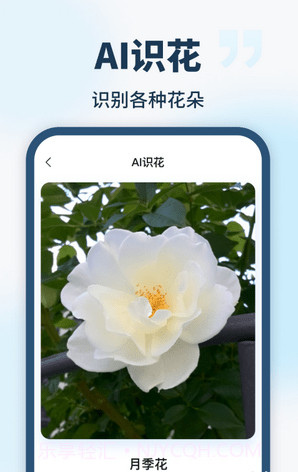 AI智能助手截图2 AI智能助手截图2