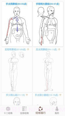 3D BODY(经络穴位3D)截图5 3D BODY(经络穴位3D)截图5