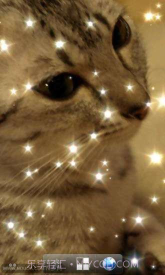 璀璨光芒动态壁纸截图3 璀璨光芒动态壁纸截图3