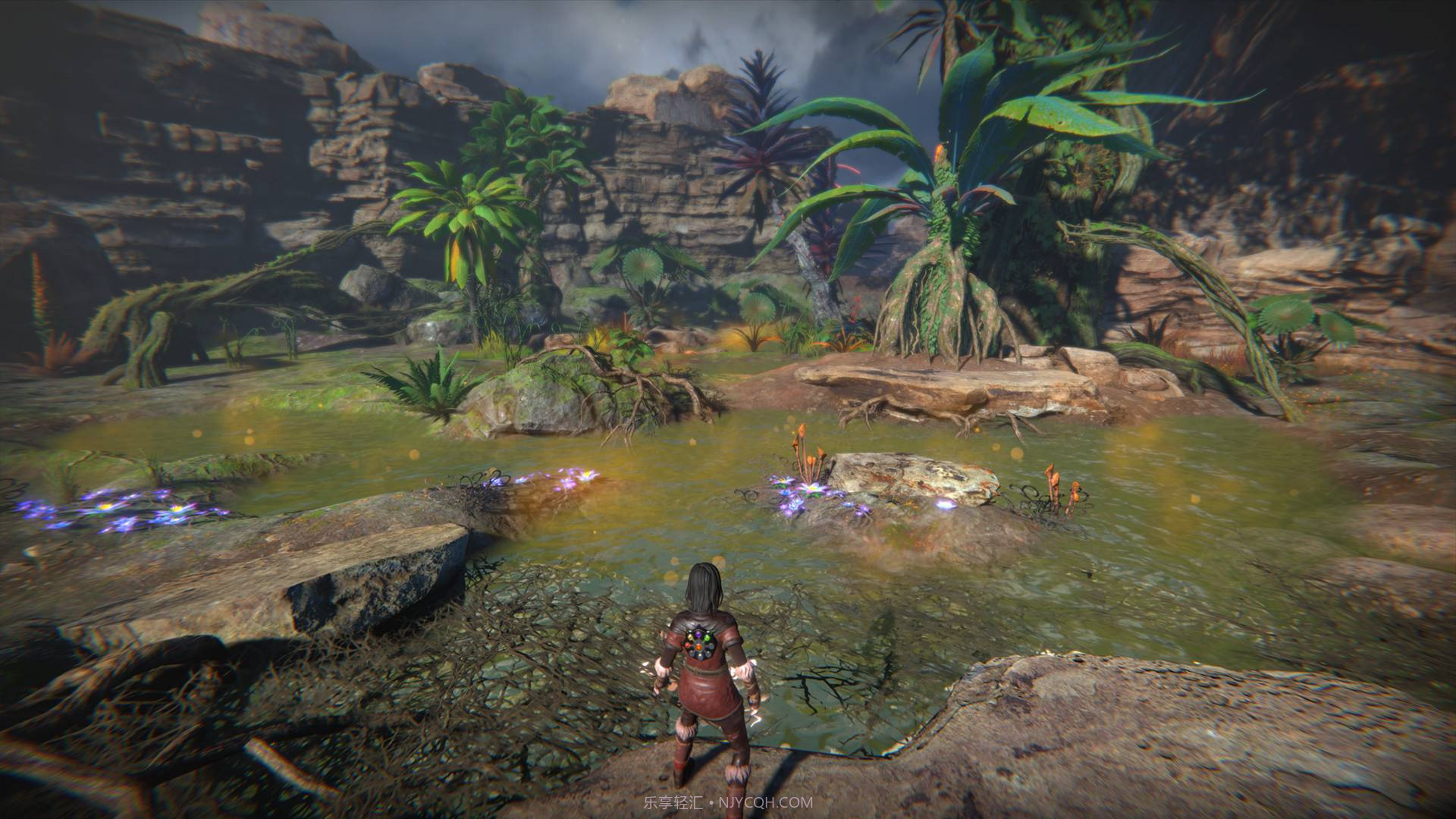 生命之种SeedofLife截图1