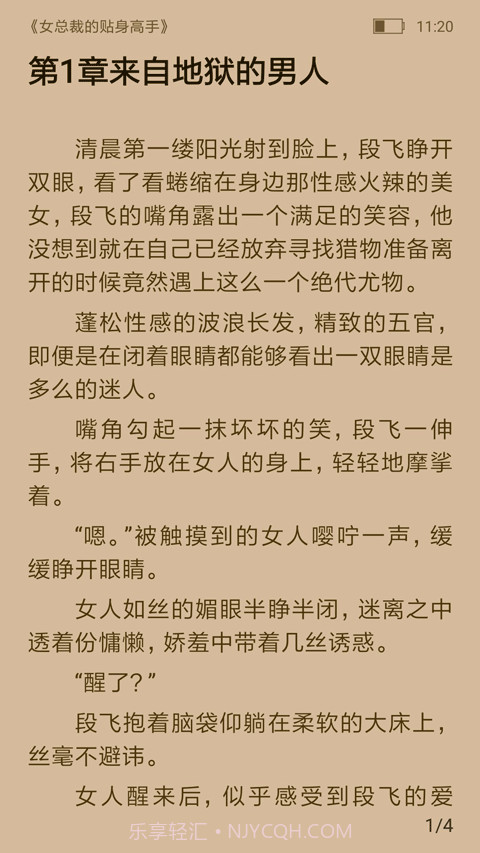 飞跃看书手机版截图4