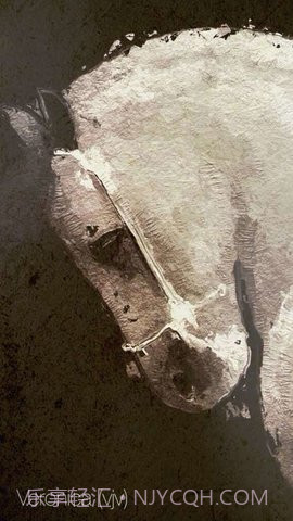 glaze油画滤镜截图2