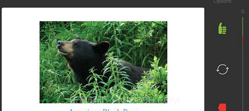 STUDYBLUE Flashcards截图1 STUDYBLUE Flashcards截图1