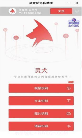 今日头条灵犬官方版截图2