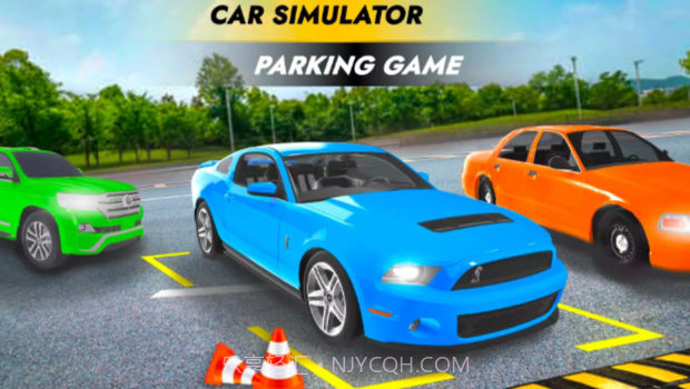 停车模拟器大师截图3 停车模拟器大师截图3