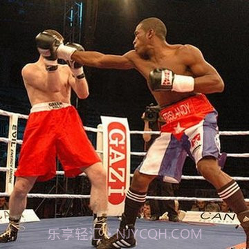 拳击WWE游戏截图8 拳击WWE游戏截图8