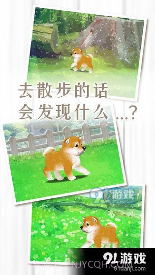 养育柴犬的治愈游戏截图3 养育柴犬的治愈游戏截图3