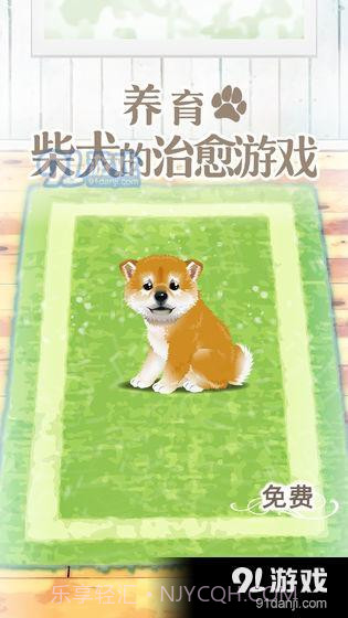 养育柴犬的治愈游戏截图1 养育柴犬的治愈游戏截图1
