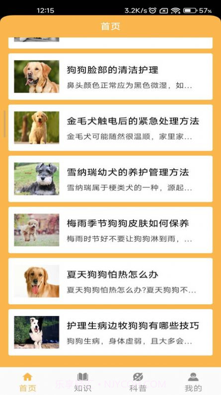 旺旺历险记截图2 旺旺历险记截图2