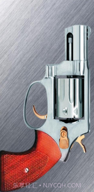 Russian Roulette截图1