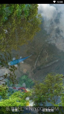 3d鱼池动态壁纸(Koi)截图1 3d鱼池动态壁纸(Koi)截图1