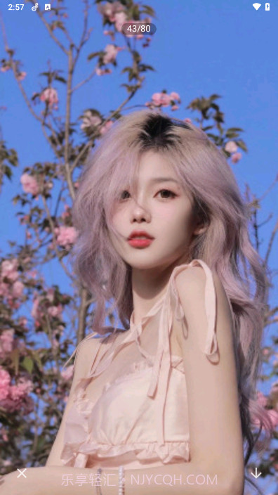 口袋壁纸主题壁纸截图2 口袋壁纸主题壁纸截图2