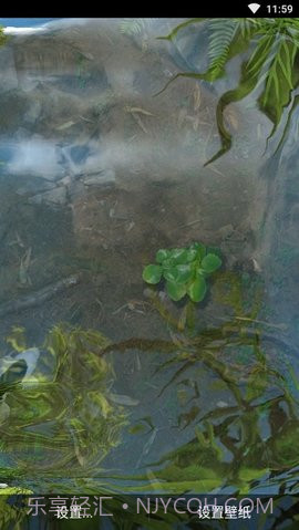 3d鱼池动态壁纸(Koi)截图2 3d鱼池动态壁纸(Koi)截图2
