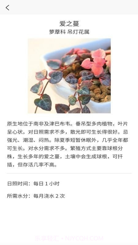 嘟嘟多肉植物鉴截图3 嘟嘟多肉植物鉴截图3