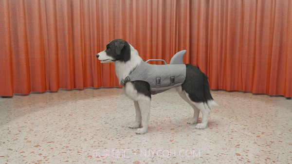 云养狗模拟器截图2 云养狗模拟器截图2