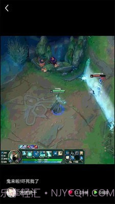 猫咪小视频截图2 猫咪小视频截图2