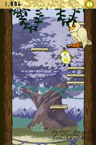 小鸟跳跳免费版截图3