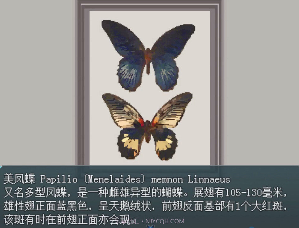 白夜博物馆完整版截图5