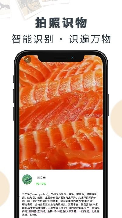 豆拍拍照识物截图4